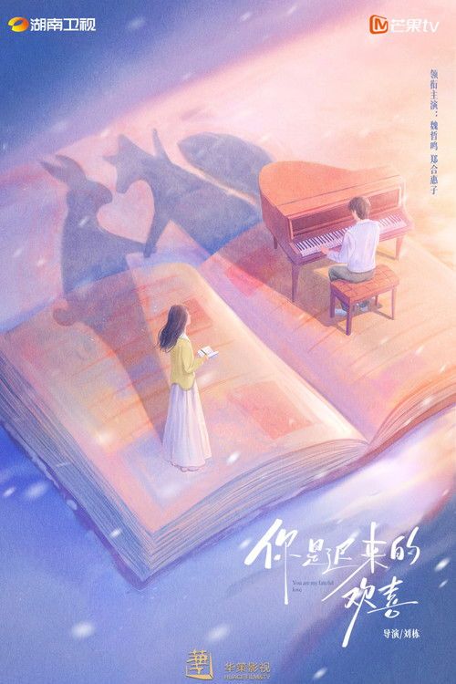 你是迟来的欢喜