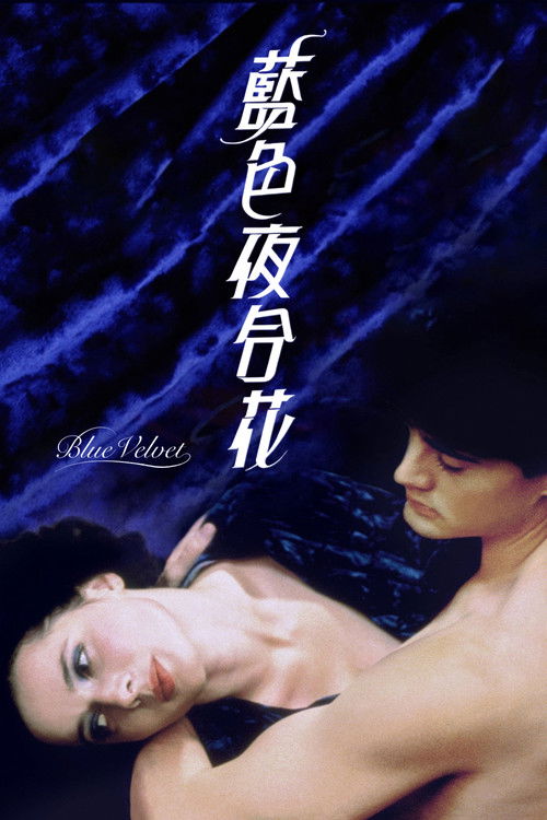 蓝丝绒